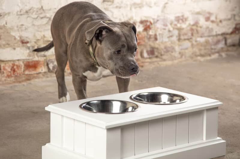 Elegant wooden dog feeder ROBUST with bowls • DogDeco