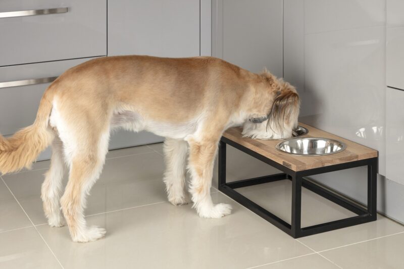 Dog feeder with oak top and steel legs ARCANA • DogDeco