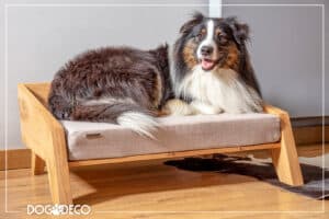 Nowoczesne legowisko dla psa jakie wybrać? Legowisko drewniane z materacem ortopedycznym, solidne posłania dla wymagających piesków.