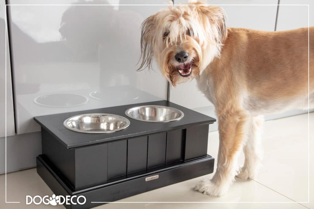Jak wybrać miskę stojak dla psa? Drewniane stojaki na dwie miski dla psów. DogDeco producent stojaków na miski.