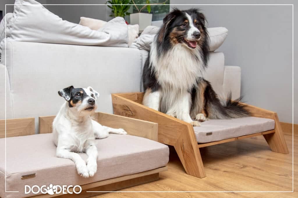Jak często wymieniać legowisko dla psa? Designerskie legowiska dla psów z litego drewna z materacami.