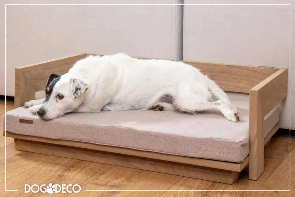 Mocne legowisko dla psa które wybrać? Drewniane legowisko z materacem ortopedycznym dla psa.