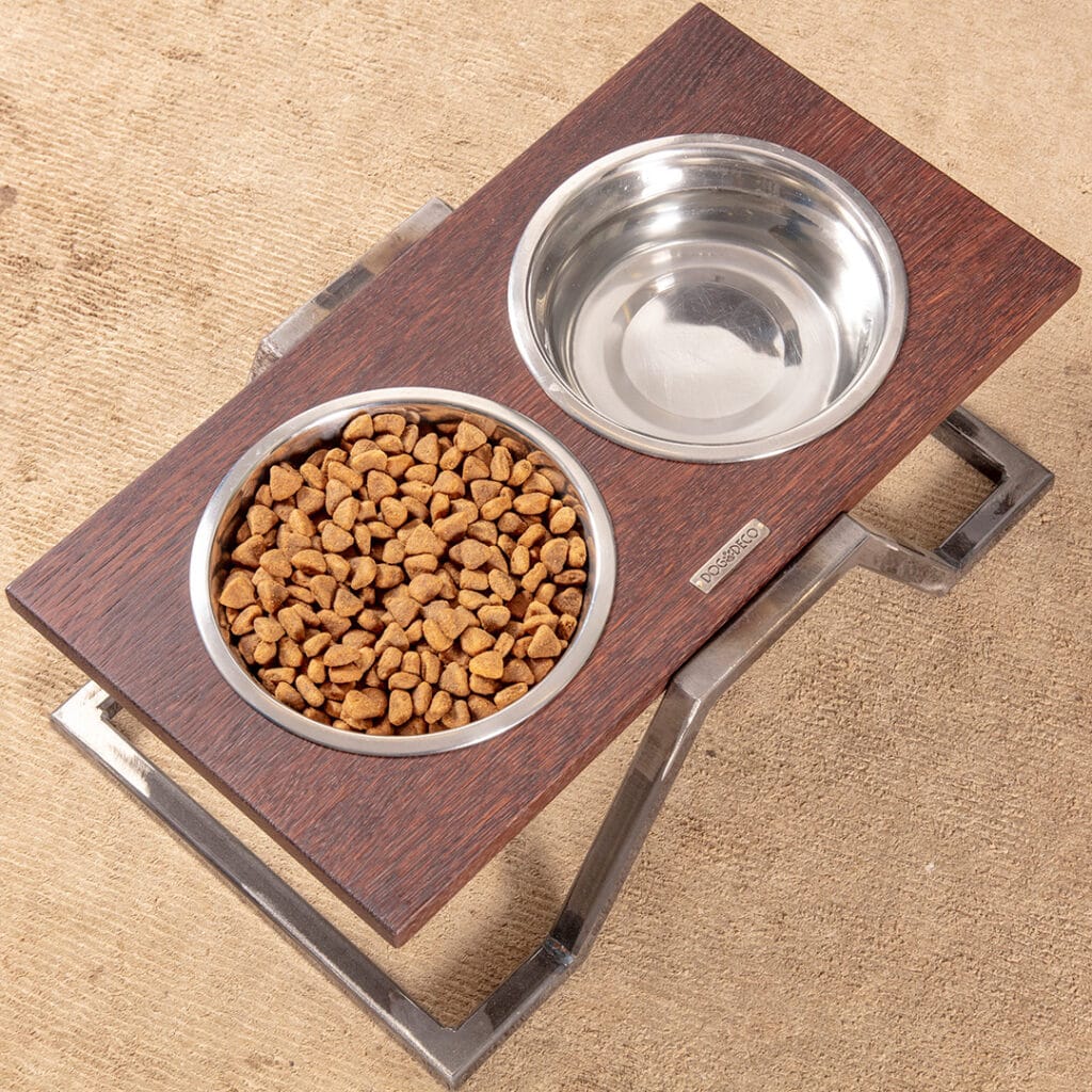 Gdzie ustawić miskę dla psa na stojaku? Jak wybrać strefę karmienia dla psów? Błędy w karmieniu psa.
