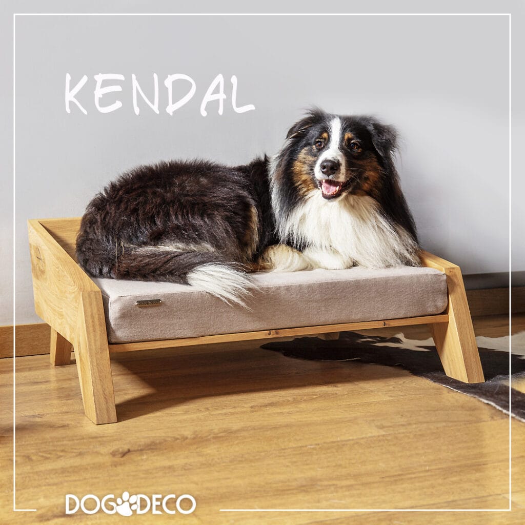 Designerskie legowisko dla psa Kendal z naturalnego drewna dębowego.